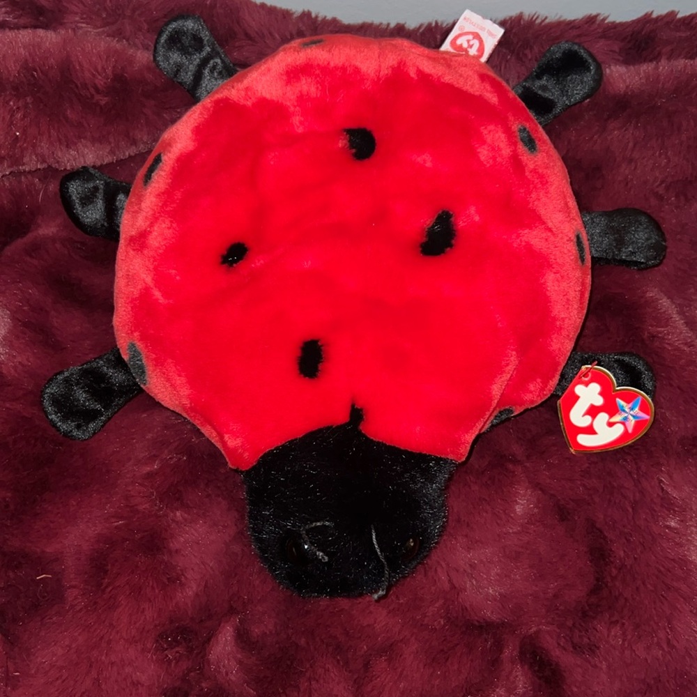 Ty Beanie Babies Buddy “Lucky” -NWT